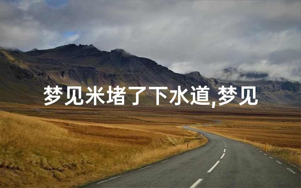 梦见米堵了下水道,梦见米里进水了