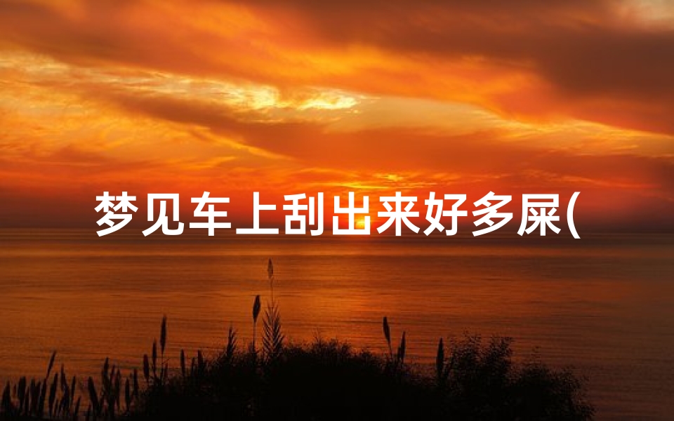 梦见车上刮出来好多屎(梦见车子上有大便)