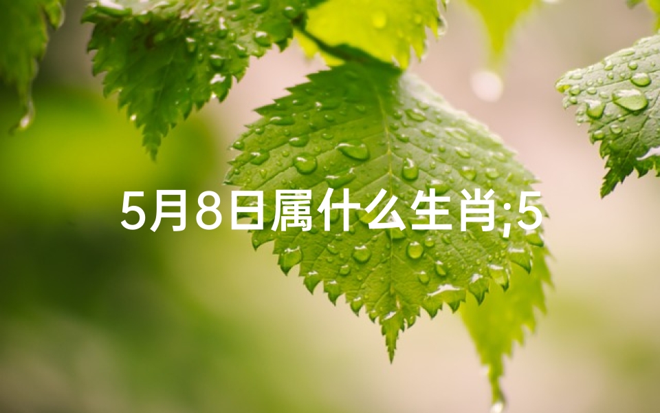 5月8日属什么生肖;5月8日生肖运势早知道:吉凶宜忌一览无遗