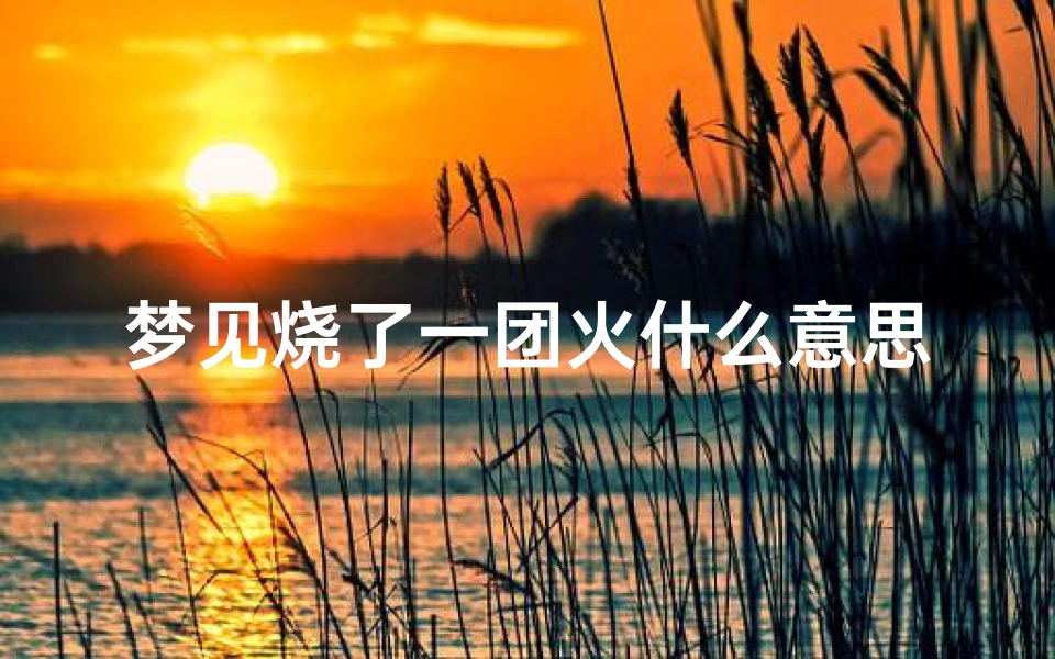 梦见烧了一团火什么意思(梦见烧了一堆火是什么意思)