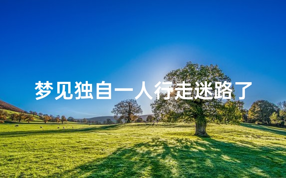 梦见独自一人行走迷路了好不好_梦见自己一个人迷路了是好梦吗?