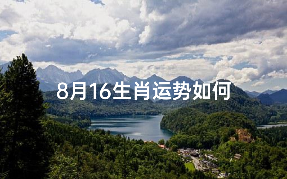 8月16生肖运势如何
