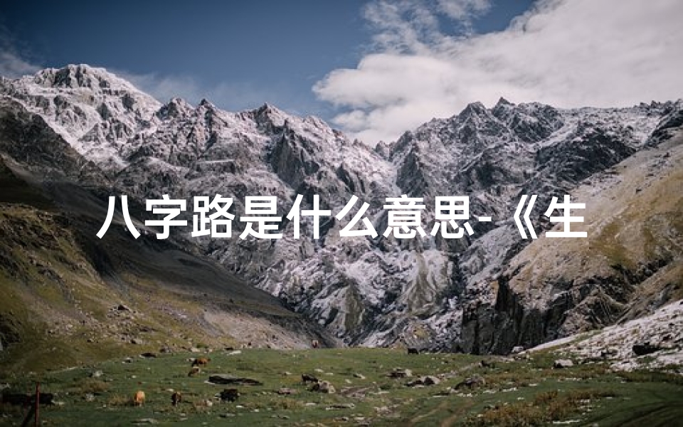 八字路是什么意思-《生辰八字奥秘,公路格指引人生路》