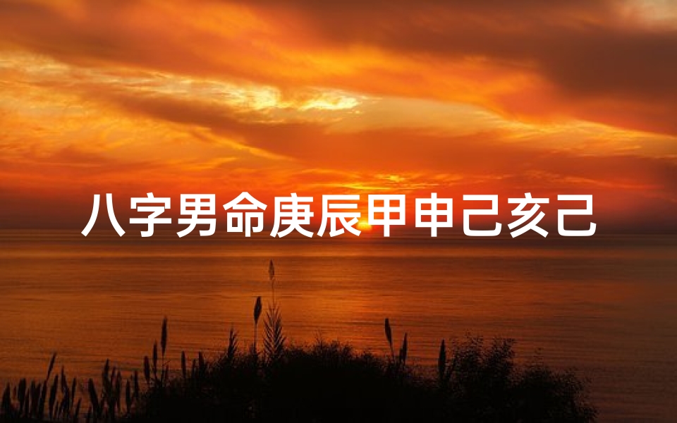八字男命庚辰甲申己亥己巳;庚辰甲申辛亥