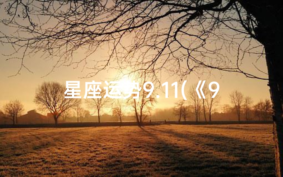 星座运势9.11(《9月11日星座运势揭秘:运势高峰来袭》)