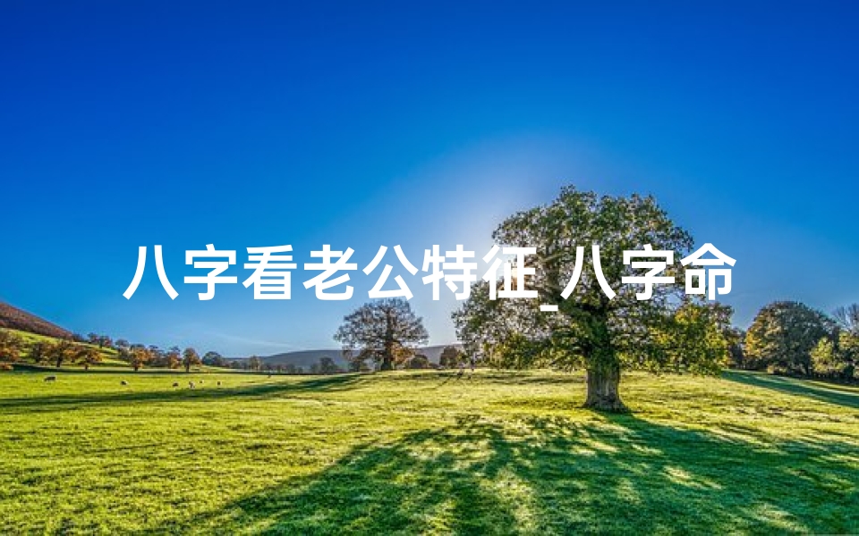 八字看老公特征_八字命理揭秘:老公八字合不合,婚姻运势大揭秘