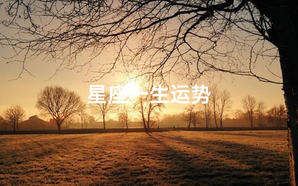 星座一生运势
