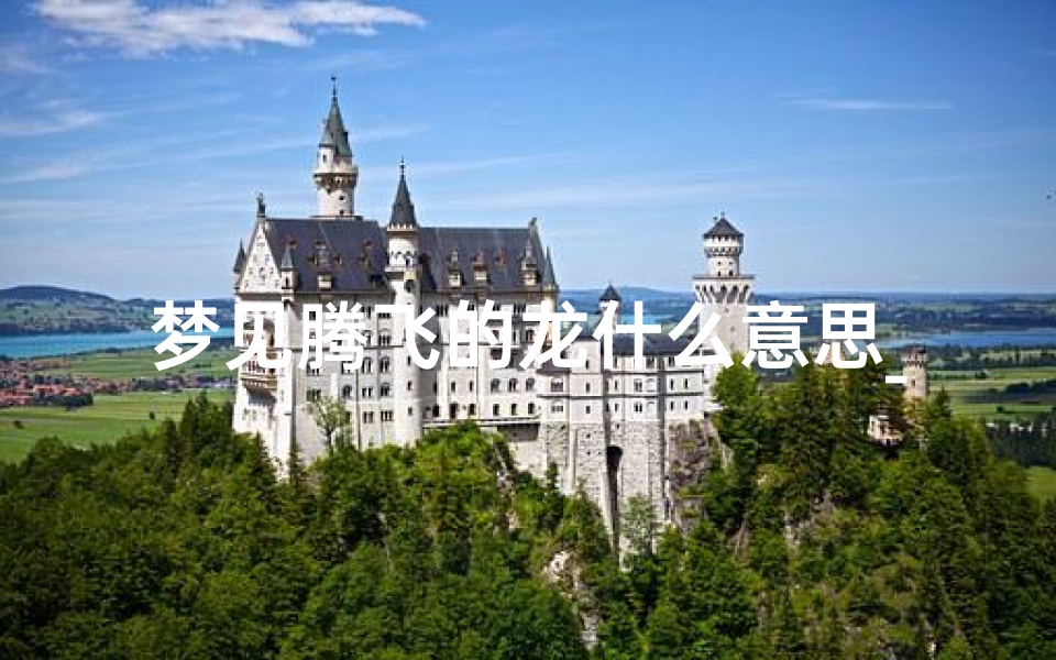 梦见腾飞的龙什么意思_梦见巨龙腾飞