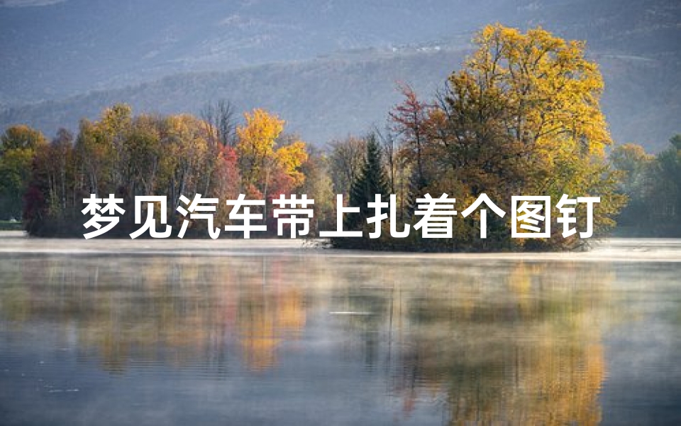 梦见汽车带上扎着个图钉什么征兆—梦见车带扎了_梦见车带扎了相关