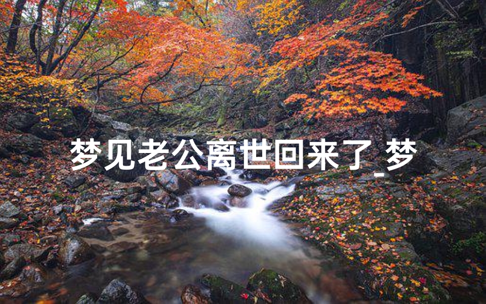 梦见老公离世回来了_梦到老公离世