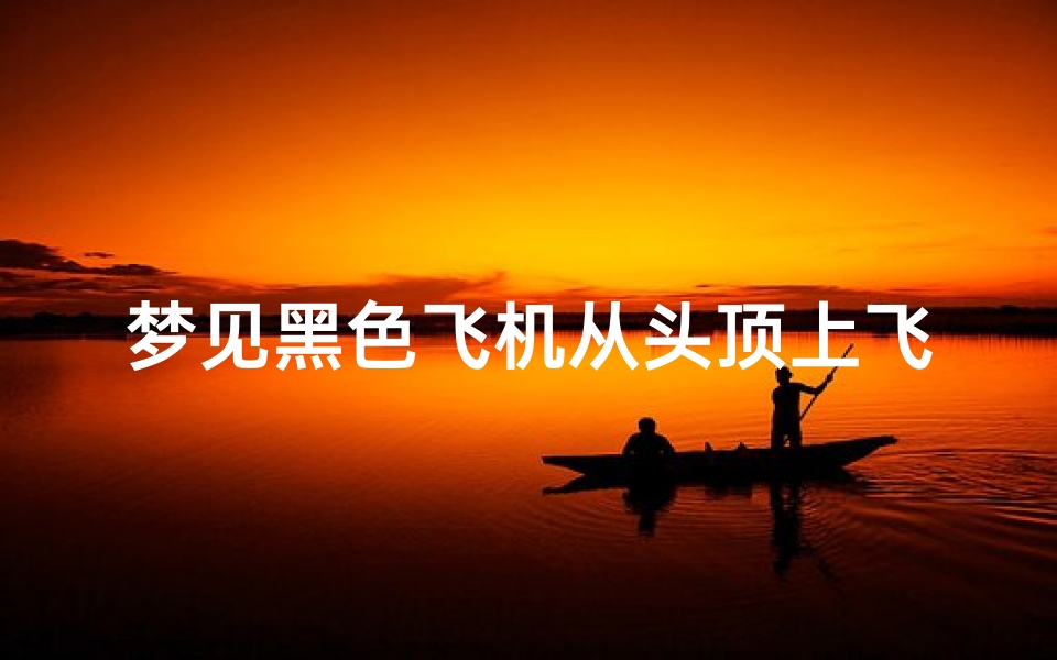 梦见黑色飞机从头顶上飞过的兆头,梦见黑飞机飞上天空,是什么意思?-优贝算卦网