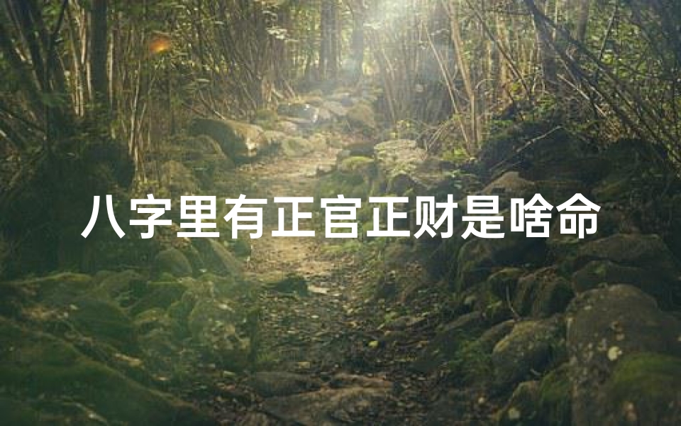 八字里有正官正财是啥命格_八字正官正财命格揭秘:财运亨通的人生密码-优贝算卦网