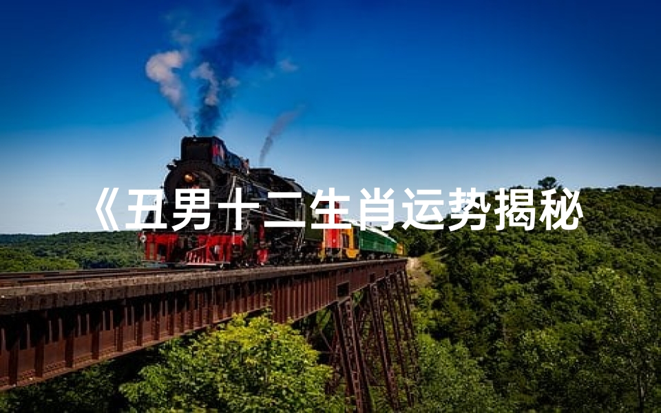 《丑男十二生肖运势揭秘:运势起伏大揭秘》