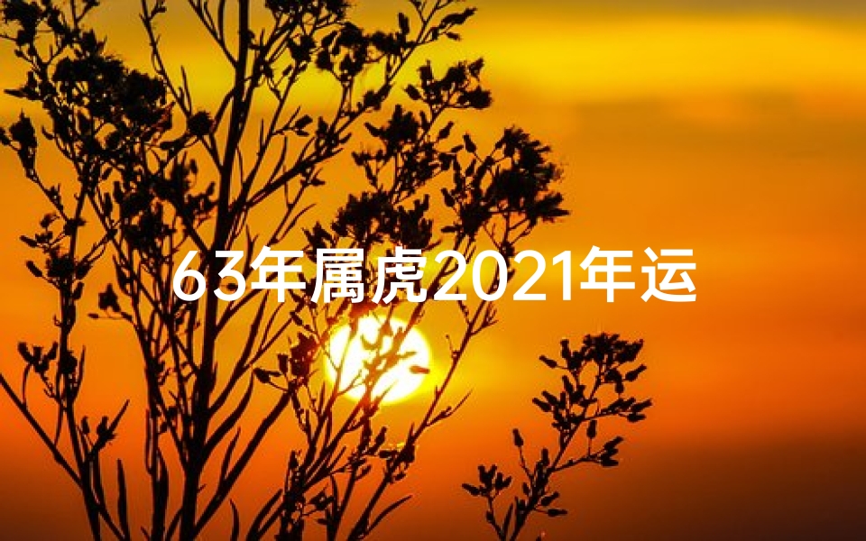63年属虎2021年运势及运程、2023年生肖虎运势大揭秘:虎年飞跃新篇章