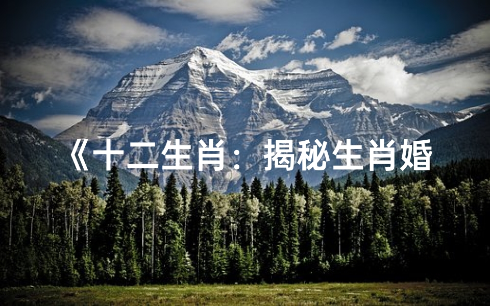 《十二生肖:揭秘生肖婚恋运势密码》
