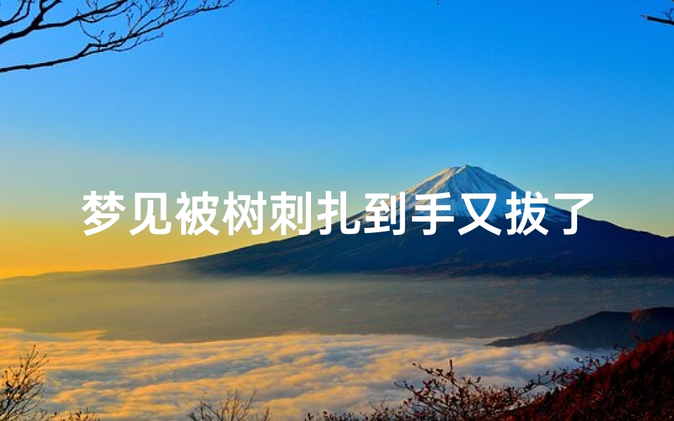 梦见被树刺扎到手又拔了出来、梦见被树刺扎手又拔掉