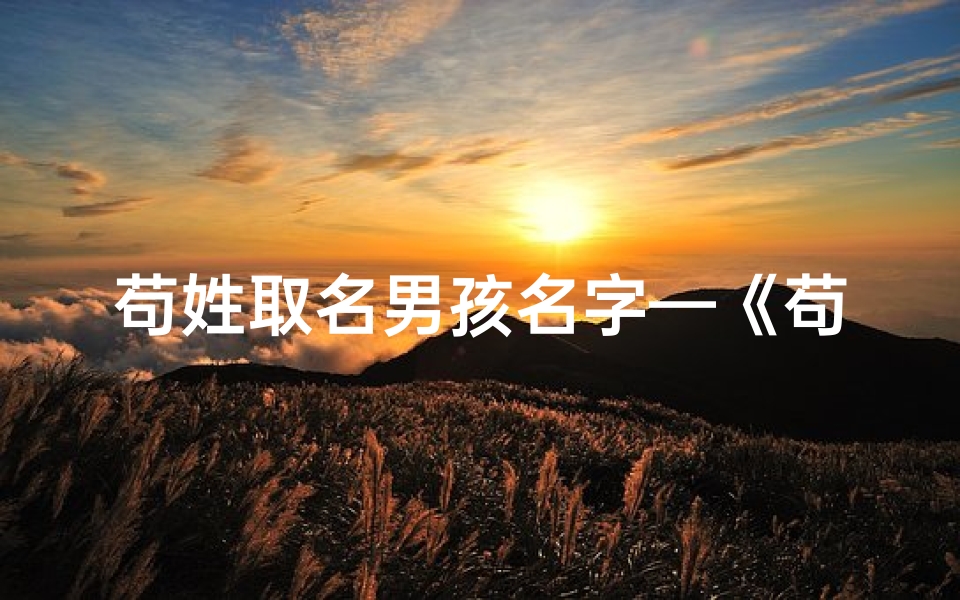 苟姓取名男孩名字—《苟姓宝宝取名大全：精选双字佳名，寓意美好人生》