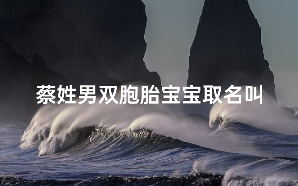 蔡姓男双胞胎宝宝取名叫什么