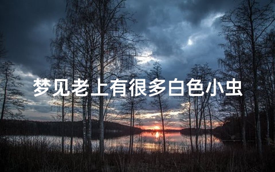梦见老上有很多白色小虫子,梦见老上有白色的东西