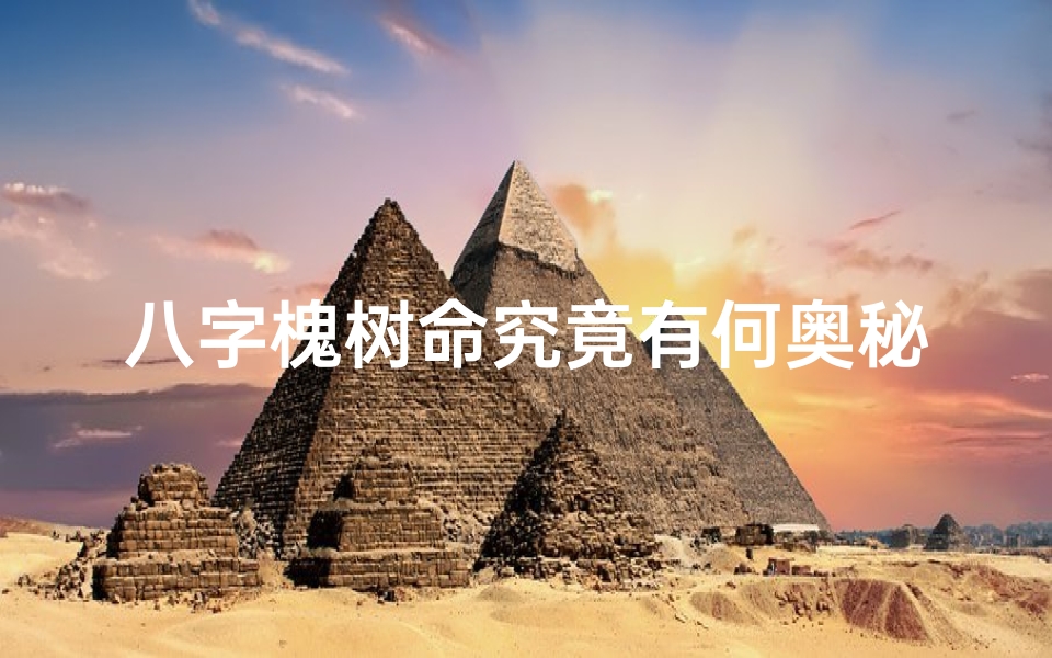 八字槐树命究竟有何奥秘?