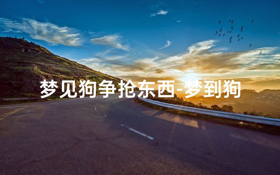 梦见狗争抢东西-梦到狗抢东西