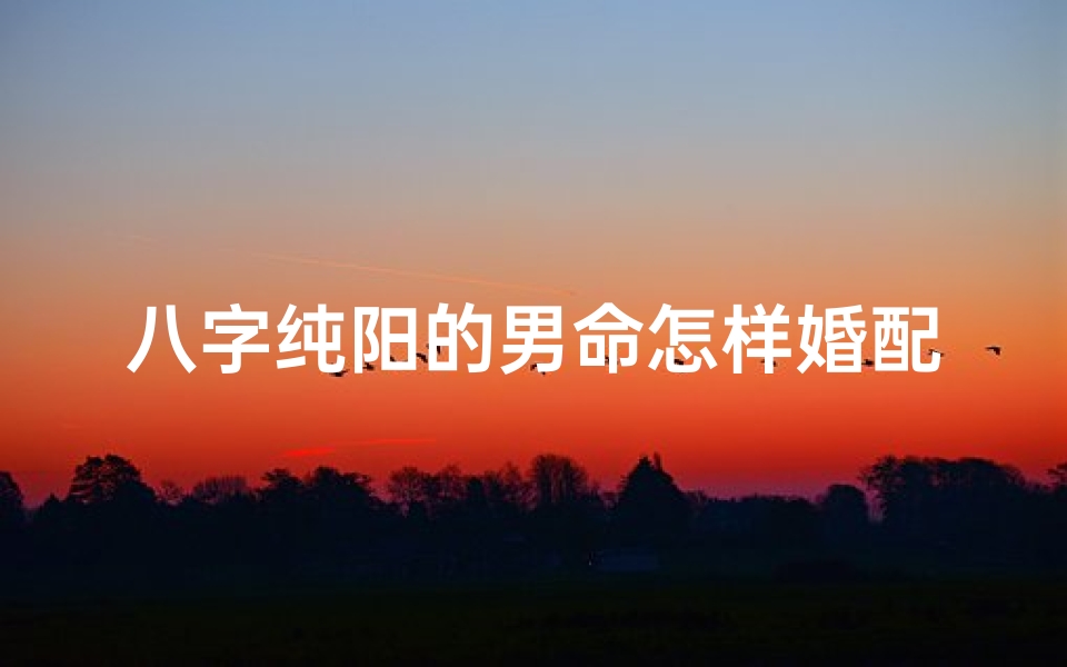 八字纯阳的男命怎样婚配;什么叫八字纯阳男命