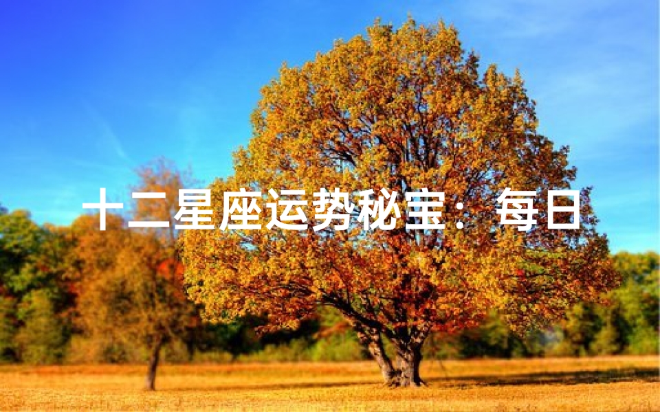 十二星座运势秘宝:每日运势查询神器