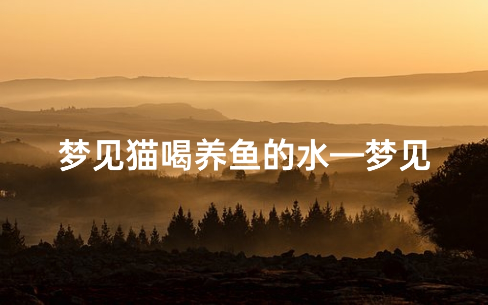 梦见猫喝养鱼的水—梦见猫喝养鱼的水好不好