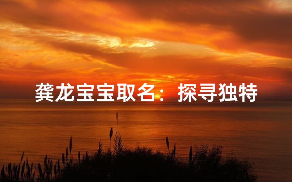 龚龙宝宝取名:探寻独特吉祥好名