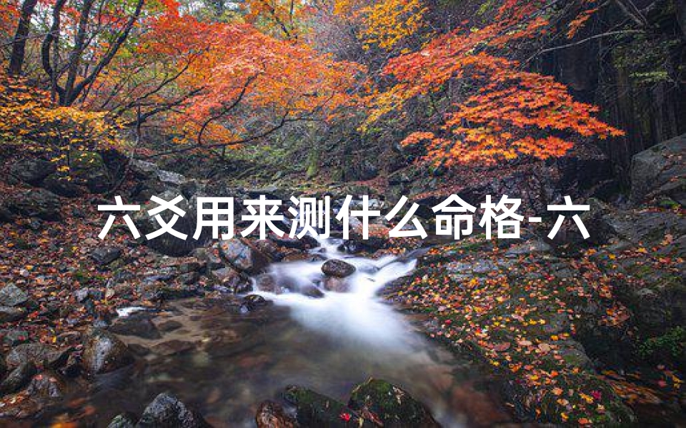六爻用来测什么命格-六爻测出名