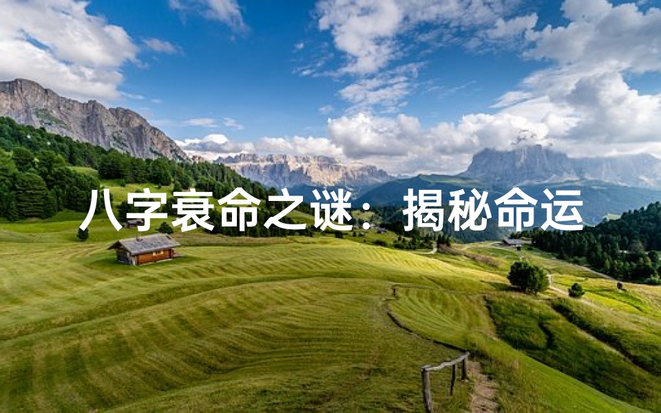 八字衰命之谜:揭秘命运起伏的奥秘