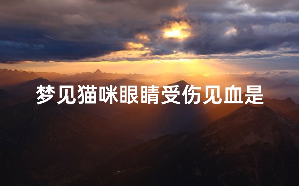 梦见猫咪眼睛受伤见血是什么预兆,梦到猫咪眼睛受伤了