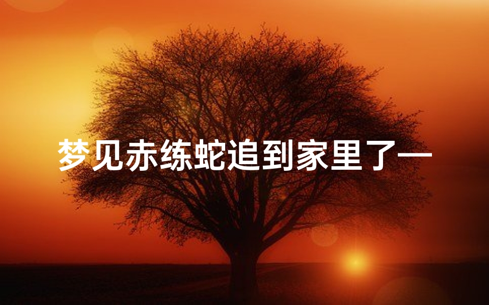 梦见赤练蛇追到家里了—梦见蛇追着自己回家