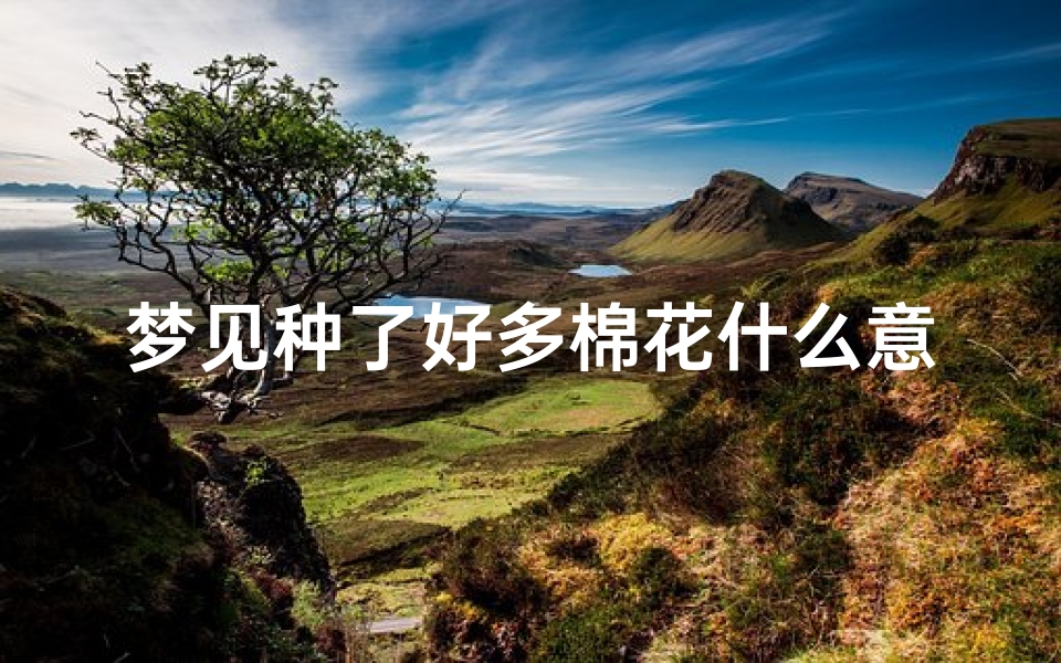 梦见种了好多棉花什么意思—梦见种了很多棉花