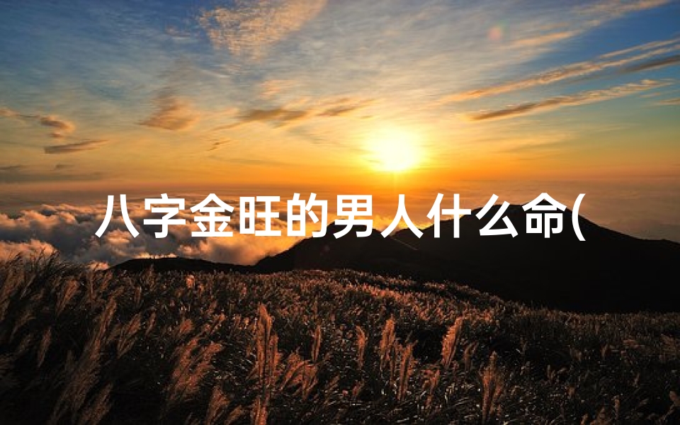 八字金旺的男人什么命(八字金旺男子命运揭秘:财富与命运的交织)