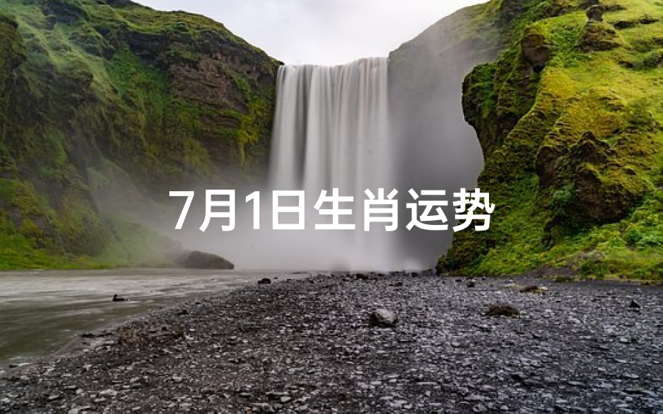 7月1日生肖运势